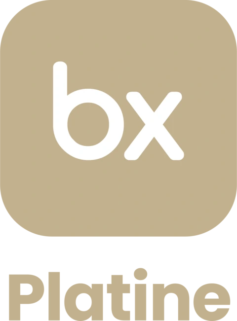 Badge bexio Partenaire Platine
