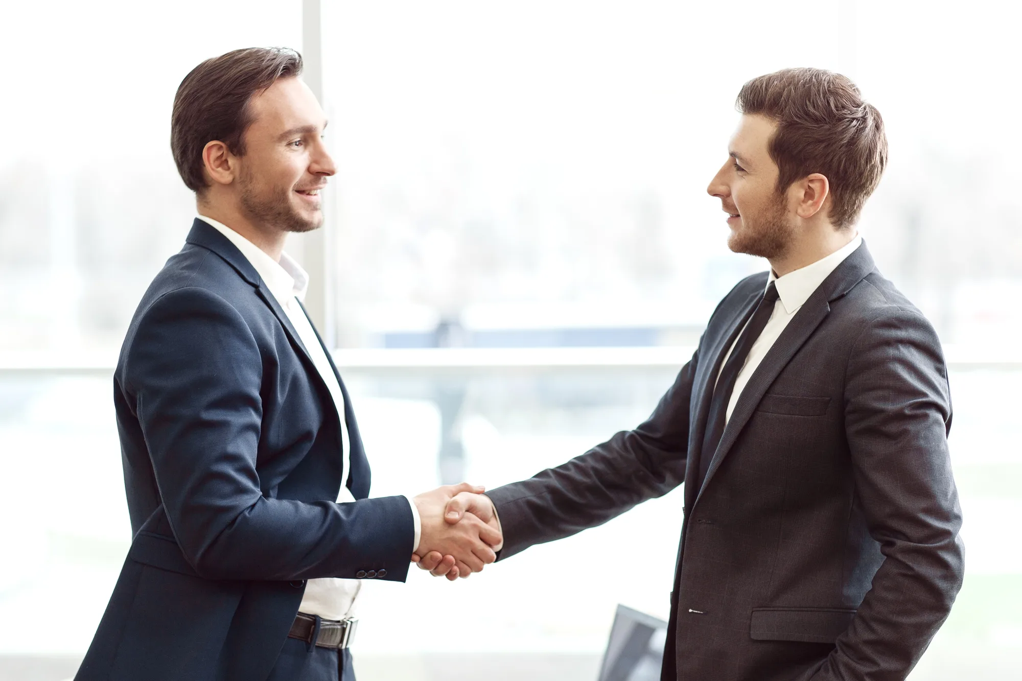 Limited liability company